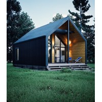 Барн Хаус 36 м2 с террасой