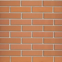 Облицовочный кирпич КРАСНЫЙ (Гладкий) 1NF Одинарный (250х120х65)