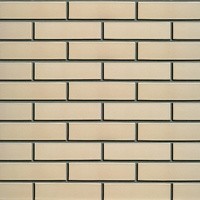 Облицовочный кирпич ИМБИРЬ (Гладкий) 1NF Одинарный (250х120х65)