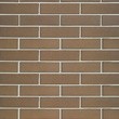 Облицовочный кирпич ШОКОЛАД (Гладкий) 1NF Одинарный (250х120х65) рис.0