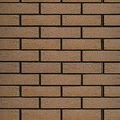 Облицовочный кирпич ШОКОЛАД (Кора дуба) 1NF Одинарный (250х120х65) рис.2