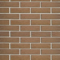 Облицовочный кирпич ШОКОЛАД (Кора дуба) 1NF Одинарный (250х120х65)