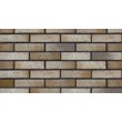 Облицовочный кирпич БРАЕР PRO 14.04.1 (фактурный) 1NF Одинарный (250х120х65) рис.0